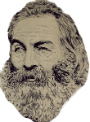 Walt Whitman Icon